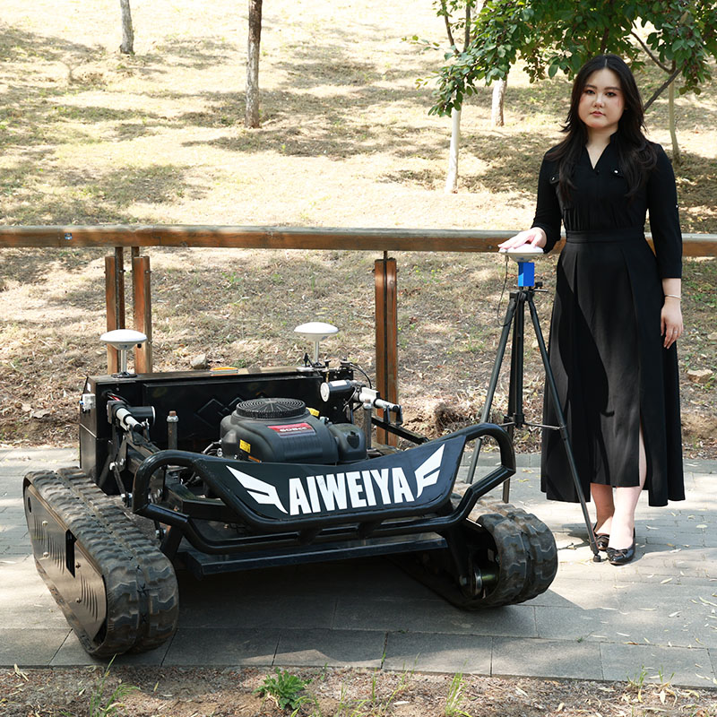 Customized NEW Powered Lawn Mo - Outdoor Power Mowers review and price
